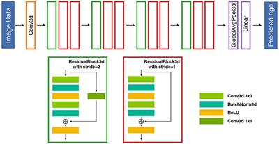 Improving Individual Brain Age Prediction Using an Ensemble Deep Learning Framework